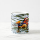 Search for mandarin duck mugs Nature