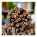 Search for wood posters Stars