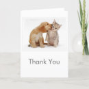 Search for dog cat thank you cards Kitten
