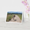 Search for mules cards Animal