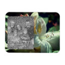 Search for azalea magnets Flower