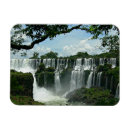 Search for iguazu magnets South america