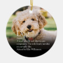 Search for saying pet supplies Fun