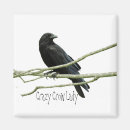 Search for crows magnets Black