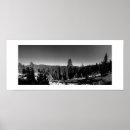 Search for black and white forest posters Nature