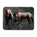 Search for fighting rectangular magnets Photography