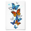 Search for photo of butterfly Illustration