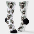 Search for a frame clothing Dog