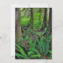 Search for lush green cards Forest