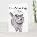 Search for grey cat cards Funny