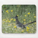 Search for bodies mousepads Male