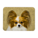Search for tri magnets Dog