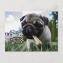 Search for funny bones postcards Pug