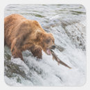 Search for catching stickers Alaska