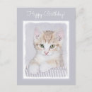 Search for tabby cat postcards Kitten