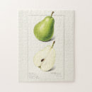 Search for fruit puzzles Vintage