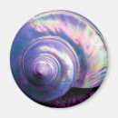 Search for shell magnets Aqua