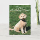 Search for happy birthday goldendoodle Party