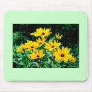 Search for susans mousepads Black eyed susans