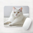 Search for house cat electronics Feline
