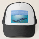 Search for humpback whale hats Wildlife