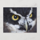 Search for the spectacles postcards Spectacled owl