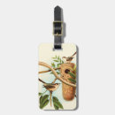 Search for bird tree accessories Branch