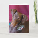 Search for dobe cards Red