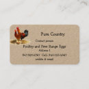 Search for chicken poultry business cards Eggs