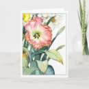 Search for parrot cards Watercolor