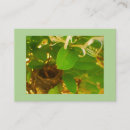 Search for nesting business cards For her