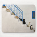 Search for staircase mousepads Steps