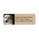 Search for labrador retrievers return address labels Pets