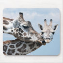 Search for 2 giraffes electronics Horizontal