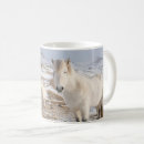 Search for winter horse mugs Equus caballus