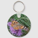 Search for garden insects key rings Wildlife