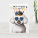 Search for bichon frise birthday cards Dogs