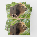 Search for lion king wrapping paper Cat