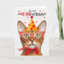 Search for abyssinian cat cards Cats
