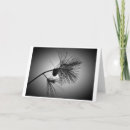 Search for pine cones cards Tree