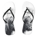 Search for cattle shoes Animal