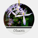 Search for for her christmas tree decorations White