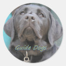 Search for black lab dog stickers Puppy