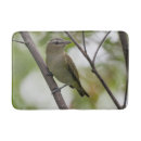 Search for ornithology photography Wildlife