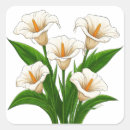 Search for calla lily flower stickers Green