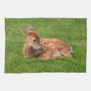 Search for alaska placemats Deer