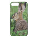 Search for lepus Rolf nussbaumer