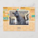 Search for mean postcards I can has cheezburger