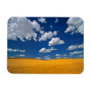Search for prairie magnets Usa