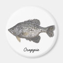 Search for crappie magnets Fish